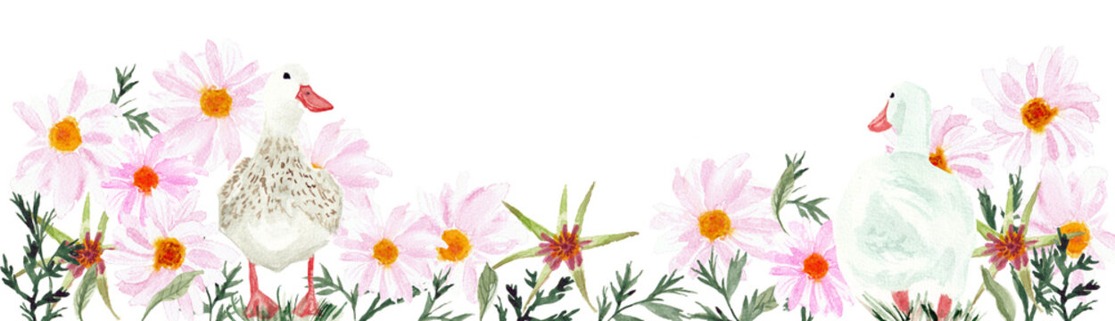 Illustrazione di due anatre tra margherite rosa e foglie verdi in stile acquerello