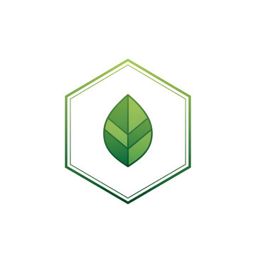 Minimal hexagon with leaf symbol representing eco identity.