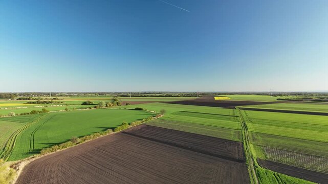 Aerial View of Green Agricultural Fields and Country Road at Sunset in Poland