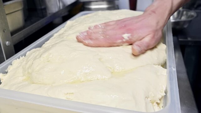Hand greasing dough with sunflower oil in a commercial kitchen setting
