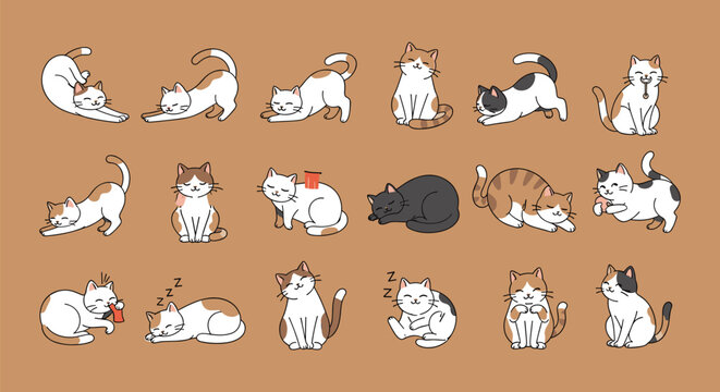 Cartoon cats collection, cute feline activities, stretching, sitting, sleeping, licking, playing, white cats with patches, brown background, flat vector illustration