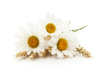 Fototapeta premium Chamomile flowers bouquet with wheat ears.