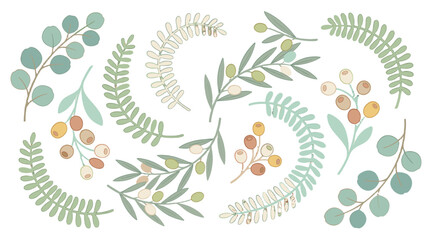elegant fern leaf wreath with berries and botanical elements in circular frame © Andrei