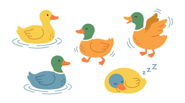 cute cartoon duck family swimming and resting on water illustration