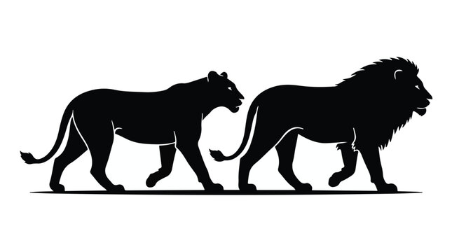 Lion and lioness walking together in black silhouette profile view on white background, symbolizing love, partnership, and wildlife conservation