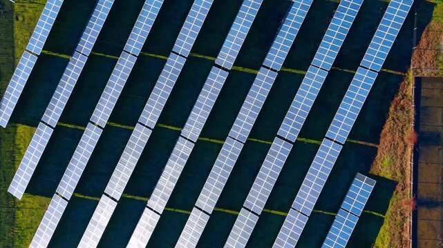 Solar panels cover large field area. Solar panels are arranged in rows on a large field under clear skies. The setup shows renewable energy focus.