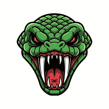 Fierce Green Snake Head with Open Mouth and Fangs.