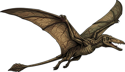 Pterodactyl Flying Reptile Vector Illustration © pixelmint75