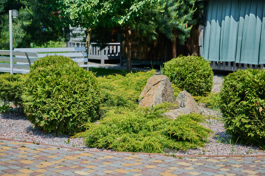 Tranquil garden scene with greenery and stones