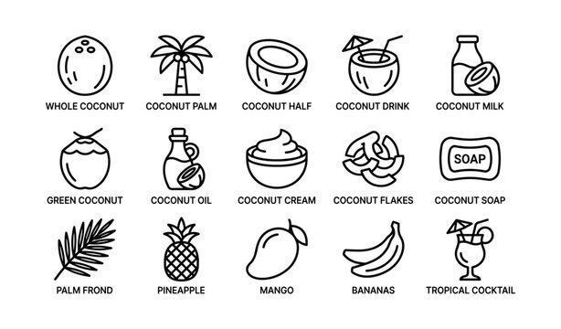 Coconut and tropical fruit icons with labels on white panel