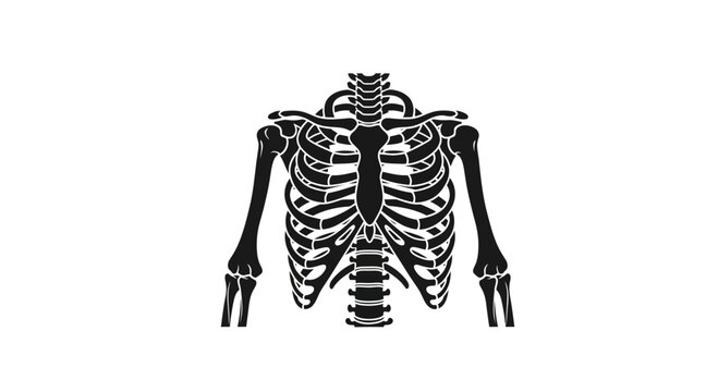 Black human rib cage and skeleton torso illustration on white background
