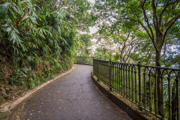 Fototapeta premium Hong Kong, Lugard Road, Victoria Peak, China : narrow jungle path with metal railing and lush tropical vegetation along scenic hillside walkway above the city