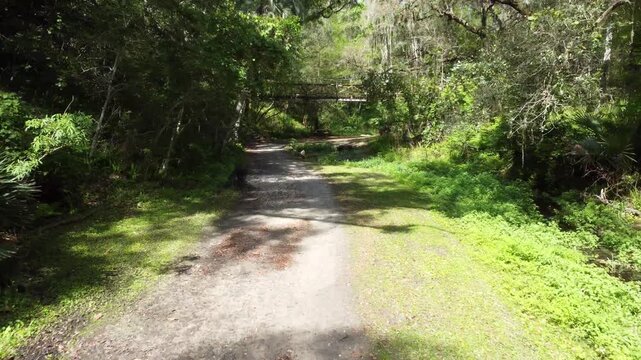 Ravine Gardens in Palatka drone shot flying towards the wooden bridge