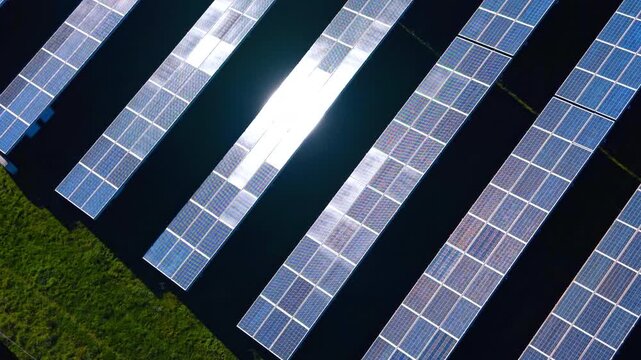 Wide aerial view of solar panels rows with glare. Sequence of solar panel rows with prominent sun reflection and green grass border on the side.