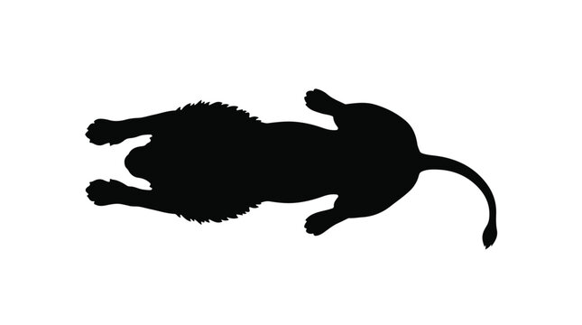African Lion Top View Silhouette - Unique Flat Vector Illustration of Big Cat for Map or Layout Design