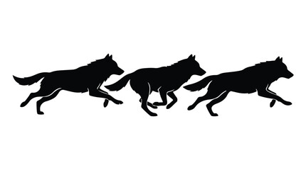 Fototapeta premium Black silhouettes of three wolves running together in unison on white background, dynamic wildlife illustration for conservation or animal concept
