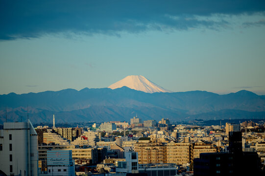 Tokyo, Japan - March 13, 2026: Mount Fuji rising above urban skyline viewed from Shibuya district in Tokyo, Japan.
