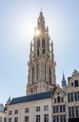 Fototapeta premium Cathedral of Our Lady tower in center of Antwerp, Belgium