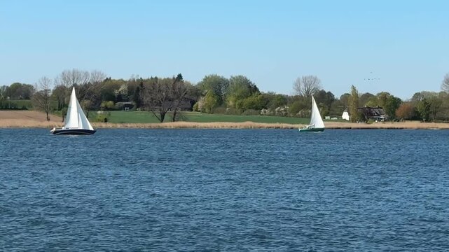 Segelboote auf der Schlei im Frühling