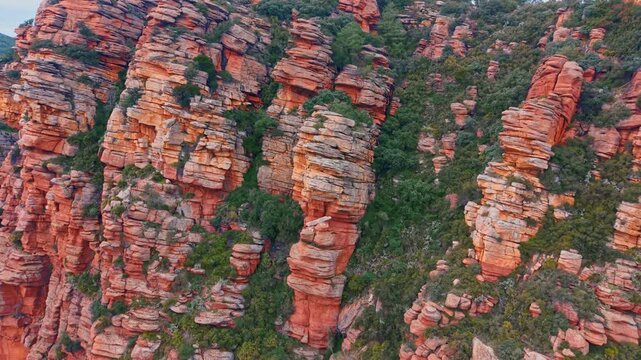 Vertical red sandstone pillars with distinct horizontal sedimentary layers. Close up of eroded rock towers made of red stone with green bushes growing on ledges.