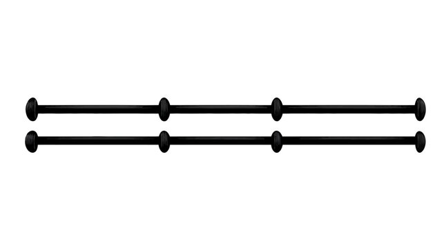 Two parallel black rods, each with three rounded bulges and flattened ends, on a white background