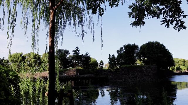 Cultural Landscape Imperial Palace. Historic palace architecture reflected in water under clear blue sky with pine branches framing peaceful urban scene. 4k