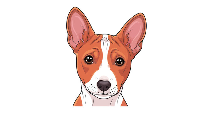 Basenji Dog Portrait, Cute Pet Face, African Dog Breed, White Background
