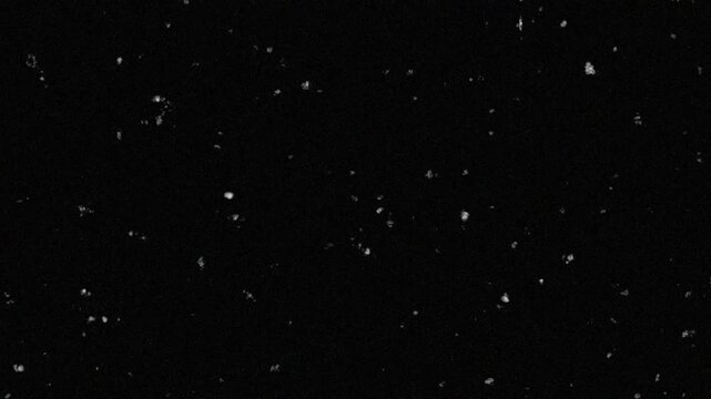 Noise, Dust, Hair, Scratches, and Grain on Old Damaged Film Seamless Texture with Low Noise Saturation. 4K Retro Template VFX Tape Loop. Opacity or Screen Mode Usage for Overlay and Blending