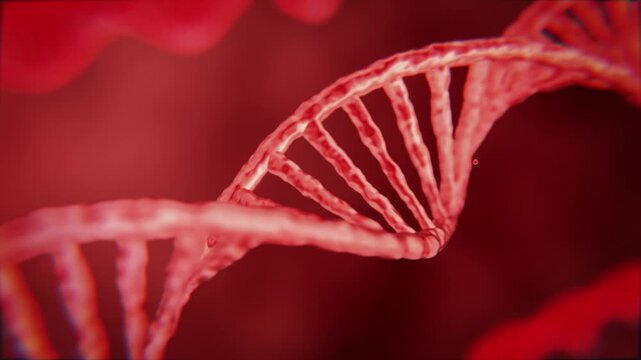 zooming through a complex 3d dna helix strand, genes and genetics, dna strands
