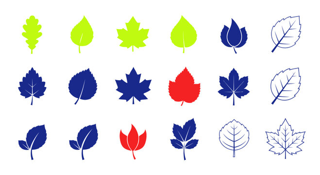 Set of Various Leaf Icons and Silhouettes in Different Colors