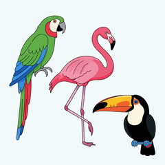 Naklejka premium Colorful Parrot, Flamingo, and Toucan Tropical Birds Collection