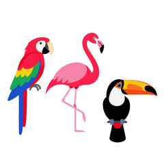 Naklejka premium Colorful Tropical Birds: Parrot, Flamingo, Toucan