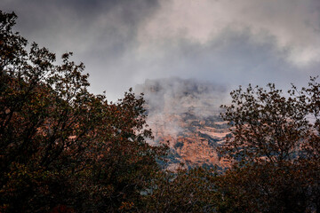 Fototapeta premium Arizona fog