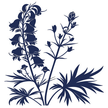 aconite silhouette on white background