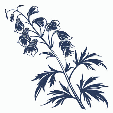 aconite silhouette on white background