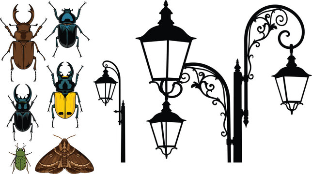 Vintage street lamp silhouettes and colorful beetle insects set decorative vector illustration collection isolated on white background