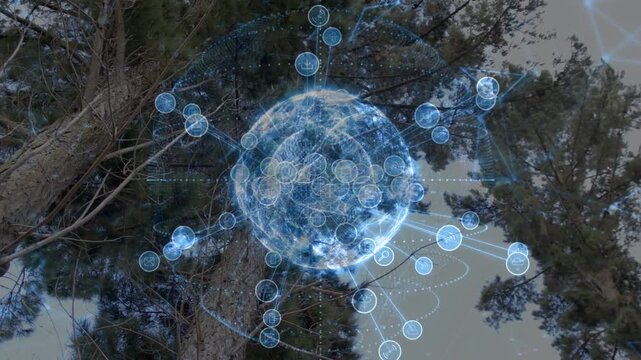 Hologram globe appearing above pine treetops, growing nodes and linking lines, showing network data