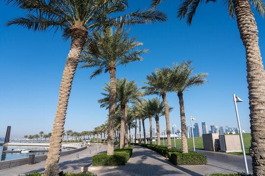 Palm Tree Promenade with Doha West Bay Skyline MIA Park Qatar