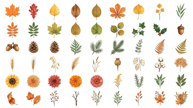 Watercolor autumn botanical clipart set with maple leaves, acorns, pine cones, flowers, berries, wheat, branches, mushrooms, and seasonal foliage