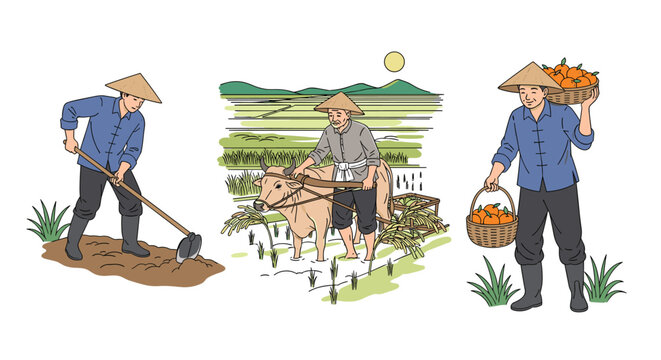Traditional Asian farming activities showing workers tilling soil with a hoe, plowing rice fields with a water buffalo, and harvesting fruit.