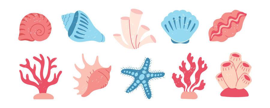 Vector set of hand-drawn sea shells, starfish, and corals in a modern flat style with subtle texture. Scandinavian-inspired marine collection perfect for nursery decor, children's summer apparel, coas