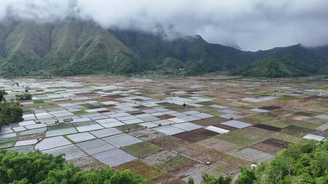 Aerial View of Sembalun Village in Lombok, Indonesia, revealing extensive agricultural fields patterned across a fertile valley bordered by majestic misty mountains