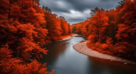 Obraz premium Autumn Stream through Vibrant Orange Forest Landscape Scene