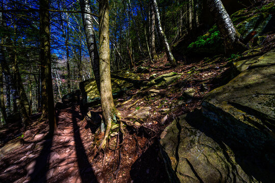Kaaterskill Falls in Spring