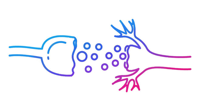 Synapse, neurotransmitters, neuron communication, brain activity, neuroscience, medical illustration