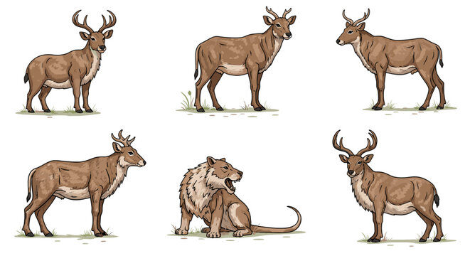 A collection of illustrations depicting various deer species and a prehistoric mammal, showcasing their distinct physical characteristics and poses.