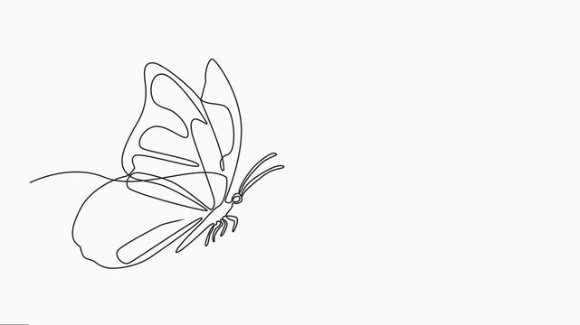 Self drawing animation with one continuous line draw Butterfly, Single line design of beautiful butterfly for business, social media. Concept of spring, Animation on white background.