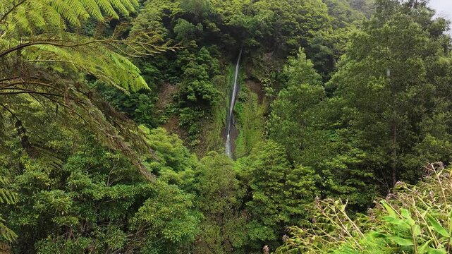 Tall waterfall in azores island ilha das flores lush green vegetation water flowing over the cliff