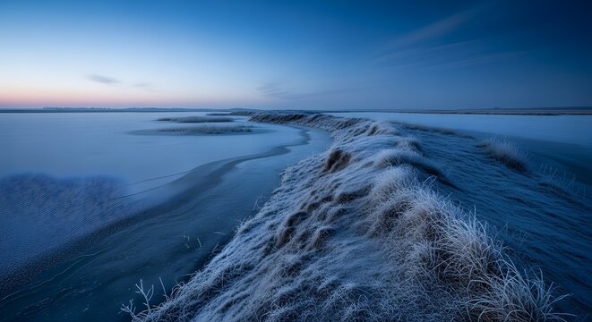 Serene Coastal Landscape at Sunrise with Reeds and Sky