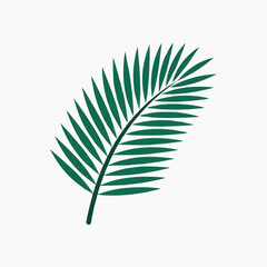 Fototapeta premium Palm Leaf's Botanical Beauty: A verdant palm leaf, elegantly showcased against a soft, pure backdrop, captures the essence of tropical allure and botanical precision.